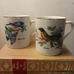 Vintage 80's John James Audubon Porcelain Cups Set Of 2.